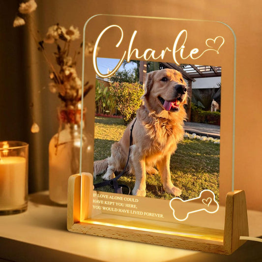 Personalized Pet Memorial LED Night Light, Custom Photo Pet Lover Night Light, Dog Keepsake Sign, Pet Loss Light Up Sign, Loss Of Dog Cat