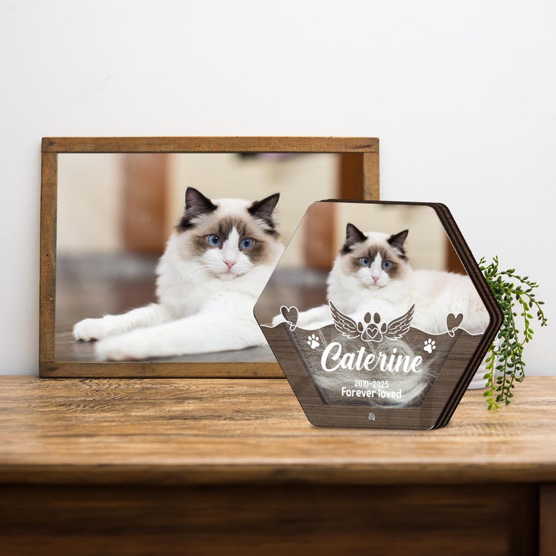 Custom Dog Hair Memorial Storage Box, Loss Of Dog Acrylic Box Pet Portrait Picture, Cat Fur Keepsake, Pet Tooth Memorial Gift, Pet Memorial