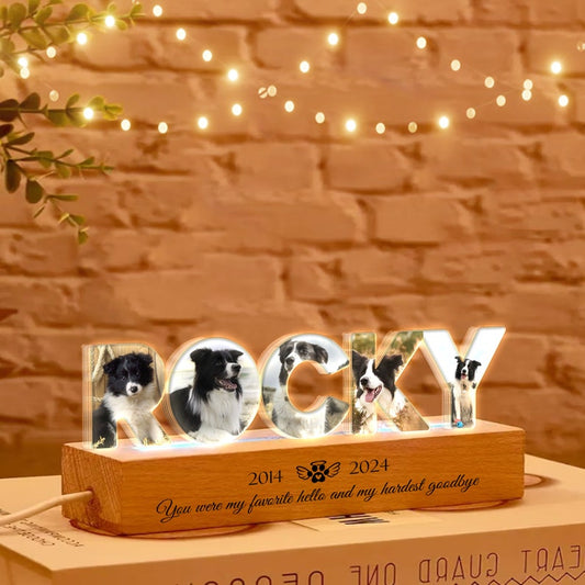 Personalized Pet Memorial Night Light, Custom Pet Photo Night Light, Custom Pet Memorial Gift, Loss Of Pet Sympathy Gift, Dog Loss Gift