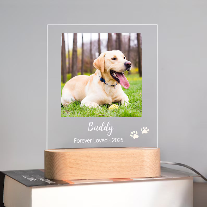 Pet Cat Dog Memorial loss Acrylic Night Light | Personalized Bedroom LED Decor Sign | Light up Sign | Gift for Pets