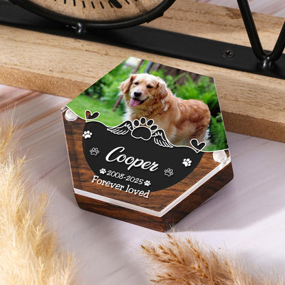 Pet Hair Keepsake Box,Custom Pet Fur Box,Dog Teeth Memorial Gift,Personalized Pet Remembrance Gift,Acrylic Box With Pet Picture,Cat Memorial