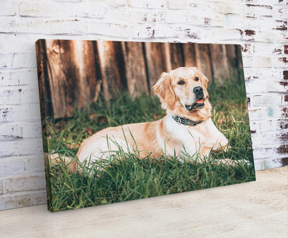Custom Dog Photo Canvas Print – Pet Portrait Wall Art, Ready to Hang