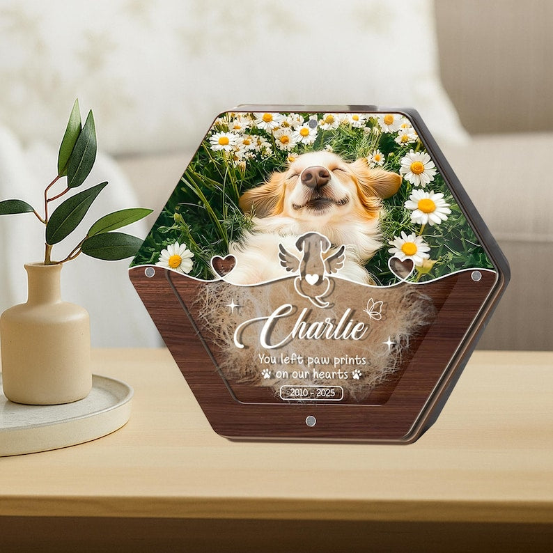 Custom Pet Hair Storage Box, Pet Tooth Memorial Gift, Custom Pet Fur Keepsake, Wooden Box with Dog Picture, Dog Cat Ashes Teeth Hair Box