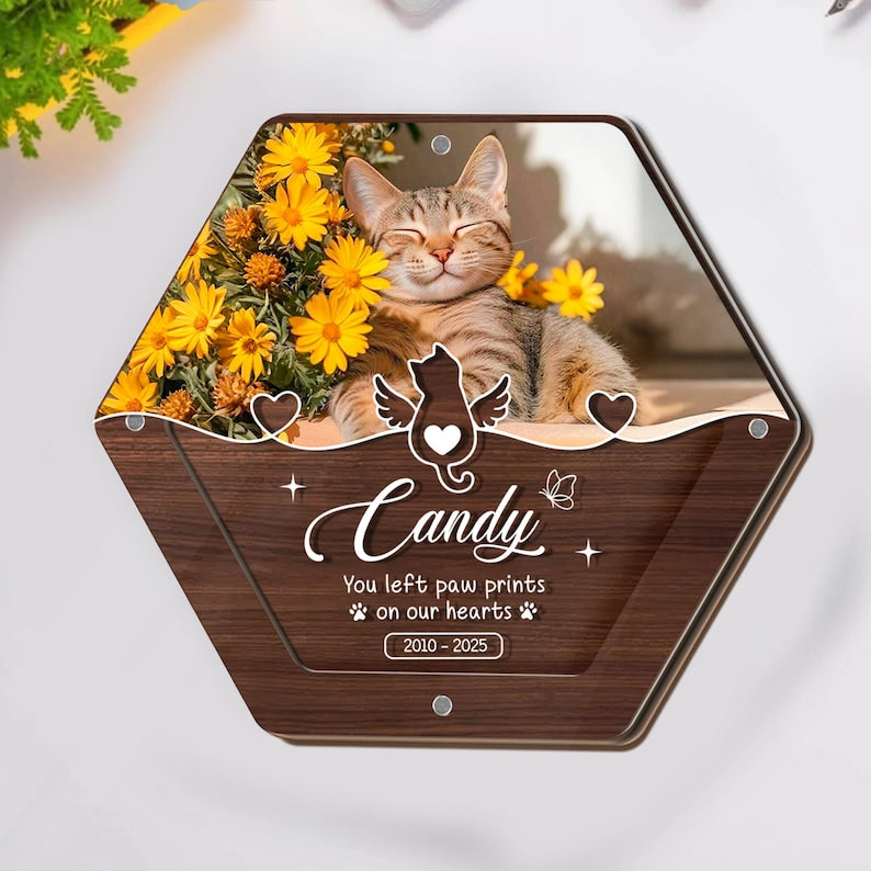 Custom Pet Hair Storage Box, Pet Tooth Memorial Gift, Custom Pet Fur Keepsake, Wooden Box with Dog Picture, Dog Cat Ashes Teeth Hair Box