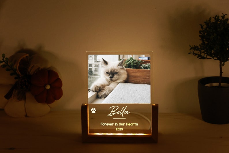 Personalized Pet Picture Acrylic Wooden Night Light - Custom Engraved LED Photo Light Frame Memorial - In Memory Of Cat Dog Keepsake Gift