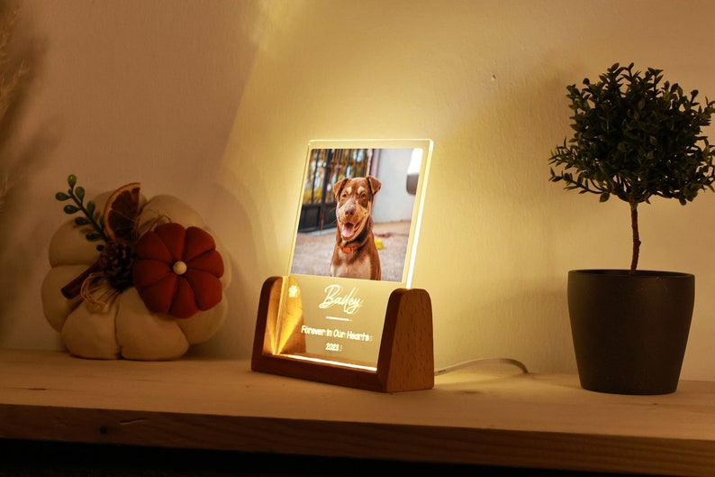 Personalized Pet Picture Acrylic Wooden Night Light - Custom Engraved LED Photo Light Frame Memorial - In Memory Of Cat Dog Keepsake Gift