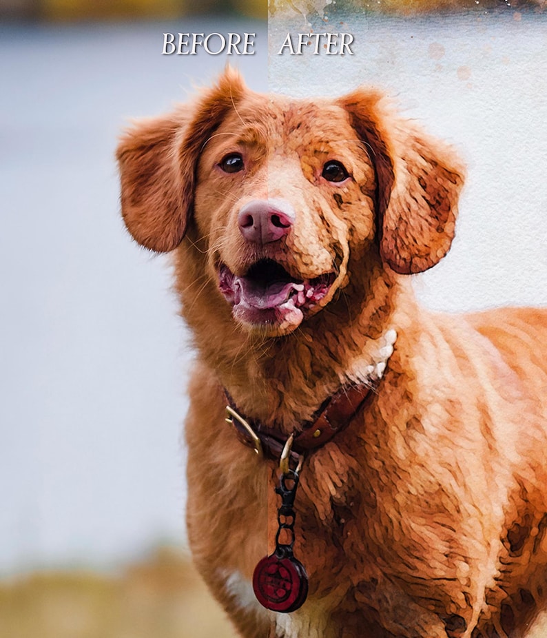 Dog Custom Portrait from Photo, Pet Wall Art Poster or Canvas