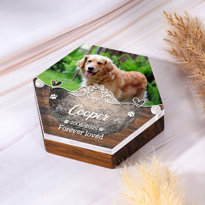 Pet Hair Keepsake Box,Custom Pet Fur Box,Dog Teeth Memorial Gift,Personalized Pet Remembrance Gift,Acrylic Box With Pet Picture,Cat Memorial