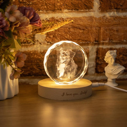 Personalised Round Crystal Engraved Pet Photo LED Light, Custom Round Crystal 2D Portrait Engraving, Pet Portrait in Crystal, Pet Loss Gift