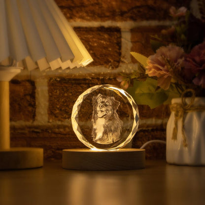 Personalised Round Crystal Engraved Pet Photo LED Light, Custom Round Crystal 2D Portrait Engraving, Pet Portrait in Crystal, Pet Loss Gift