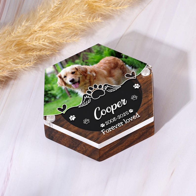 Pet Hair Keepsake Box,Custom Pet Fur Box,Dog Teeth Memorial Gift,Personalized Pet Remembrance Gift,Acrylic Box With Pet Picture,Cat Memorial
