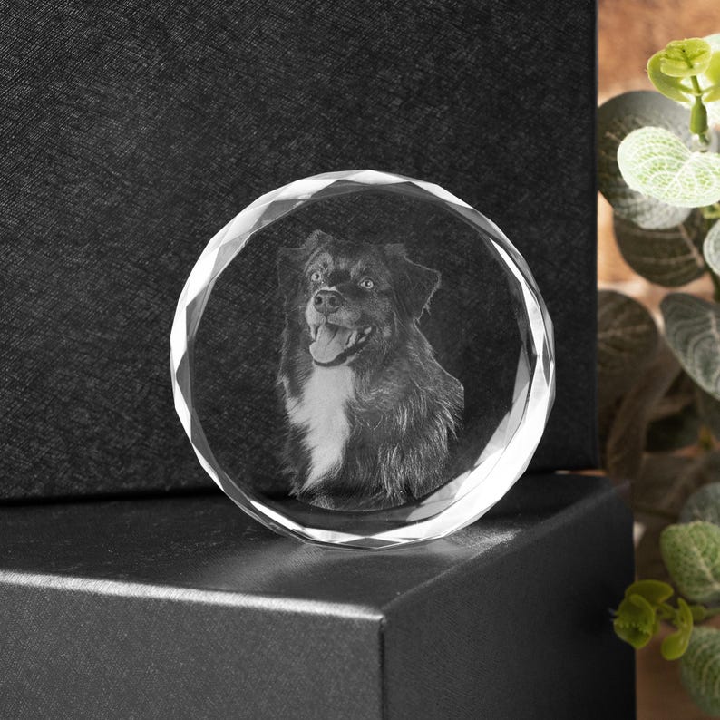 Personalised Round Crystal Engraved Pet Photo LED Light, Custom Round Crystal 2D Portrait Engraving, Pet Portrait in Crystal, Pet Loss Gift