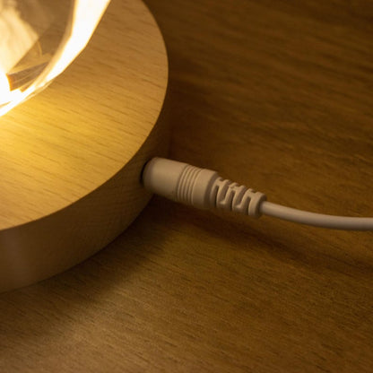 Personalised Round Crystal Engraved Pet Photo LED Light, Custom Round Crystal 2D Portrait Engraving, Pet Portrait in Crystal, Pet Loss Gift