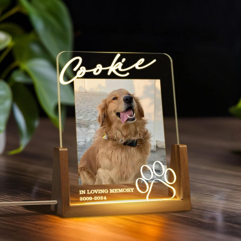 Personalized Pet Memorial LED Night Light, Custom Photo Pet Lover Night Light, Dog Keepsake Sign, Pet Loss Light Up Sign, Loss Of Dog Cat