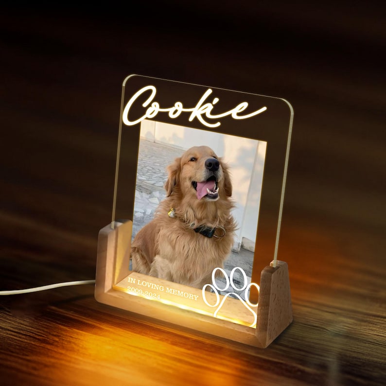 Personalized Pet Memorial LED Night Light, Custom Photo Pet Lover Night Light, Dog Keepsake Sign, Pet Loss Light Up Sign, Loss Of Dog Cat