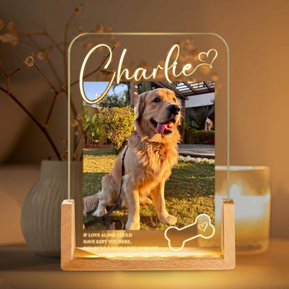 Personalized Pet Memorial LED Night Light, Custom Photo Pet Lover Night Light, Dog Keepsake Sign, Pet Loss Light Up Sign, Loss Of Dog Cat