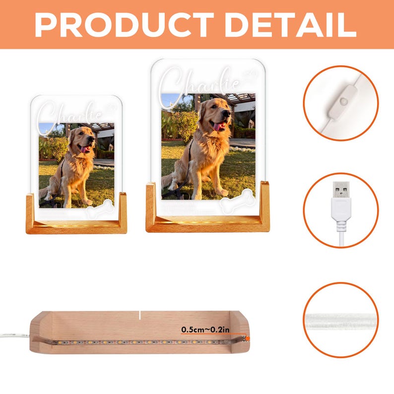 Personalized Pet Memorial LED Night Light, Custom Photo Pet Lover Night Light, Dog Keepsake Sign, Pet Loss Light Up Sign, Loss Of Dog Cat