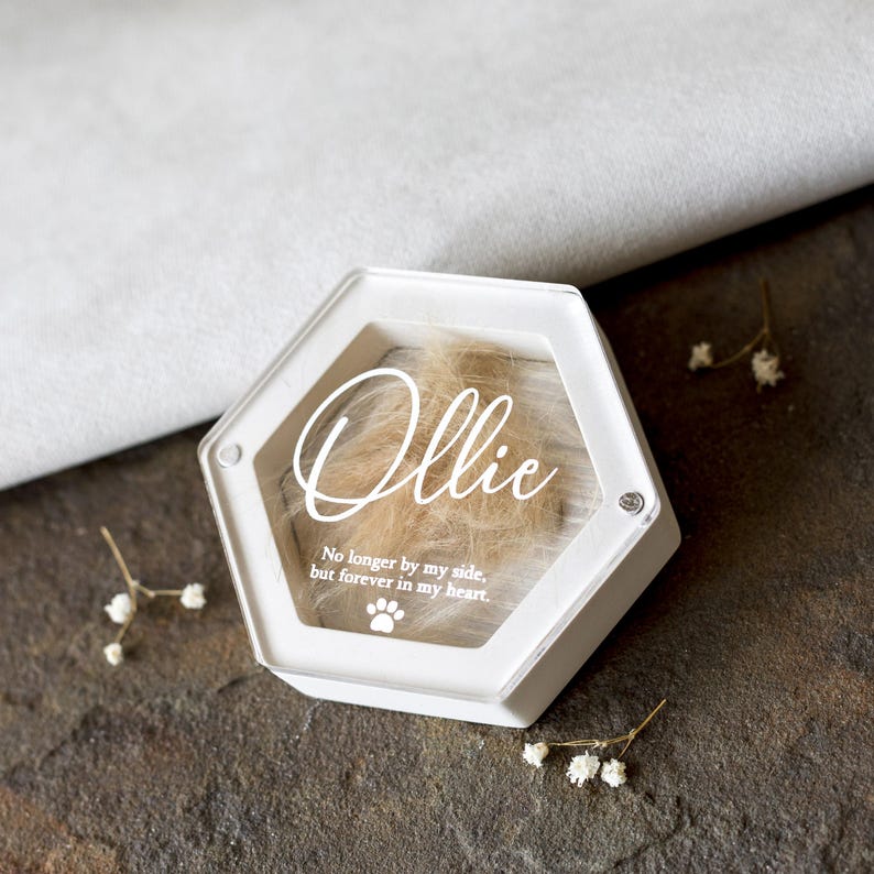 Personalized Pet Memorial Hair Keepsake Box plaster: Dog Cat loss Gift