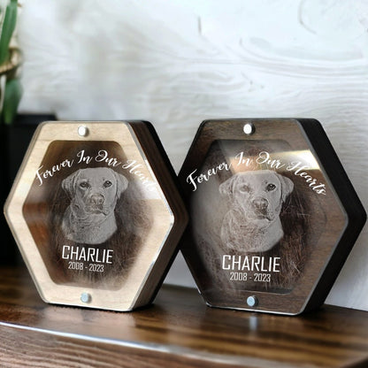Custom Pet Hair Keepsake | Pet Hair Memorial Box | Dog Fur Keepsake | Personalized Dog Portrait Gift | Engraved Loss of Pet Gifts