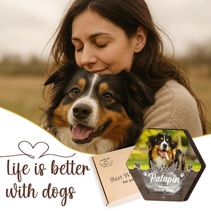 Custom Dog Hair Memorial Storage Box, Loss Of Dog Acrylic Box Pet Portrait Picture, Cat Fur Keepsake, Pet Tooth Memorial Gift, Pet Memorial