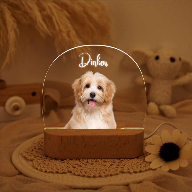 Custom Dog Photo Night Light,Pet Memorial Gift Plaque,Pet Loss Sympathy Gifts,Cat Picture Night Lamp,Pet Memorial Gifts,Gifts For Pet Lover