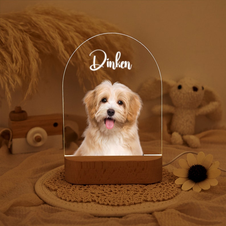 Custom Dog Photo Night Light,Pet Memorial Gift Plaque,Pet Loss Sympathy Gifts,Cat Picture Night Lamp,Pet Memorial Gifts,Gifts For Pet Lover