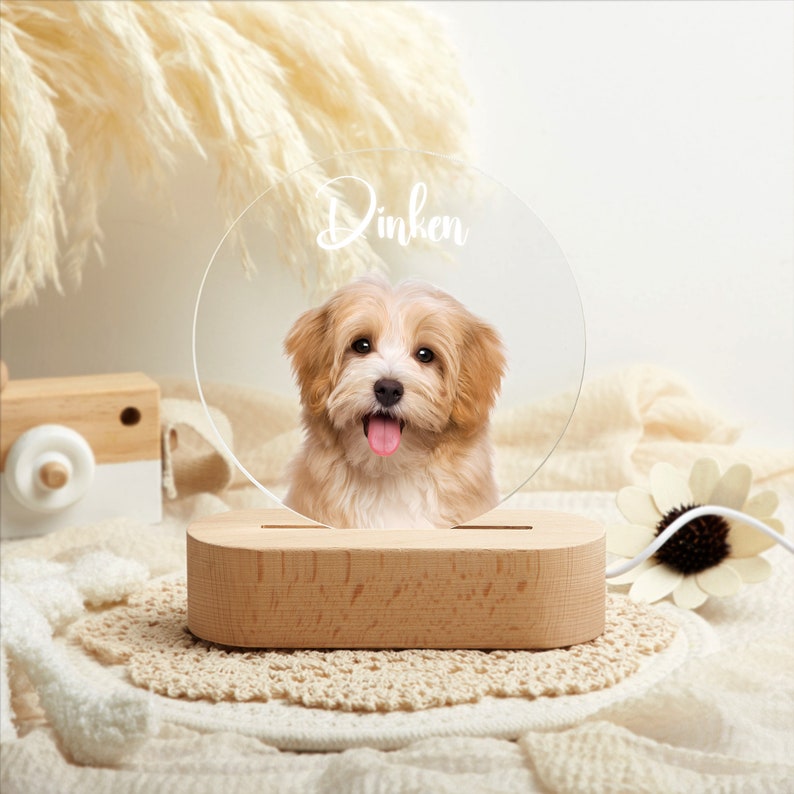 Custom Dog Photo Night Light,Pet Memorial Gift Plaque,Pet Loss Sympathy Gifts,Cat Picture Night Lamp,Pet Memorial Gifts,Gifts For Pet Lover