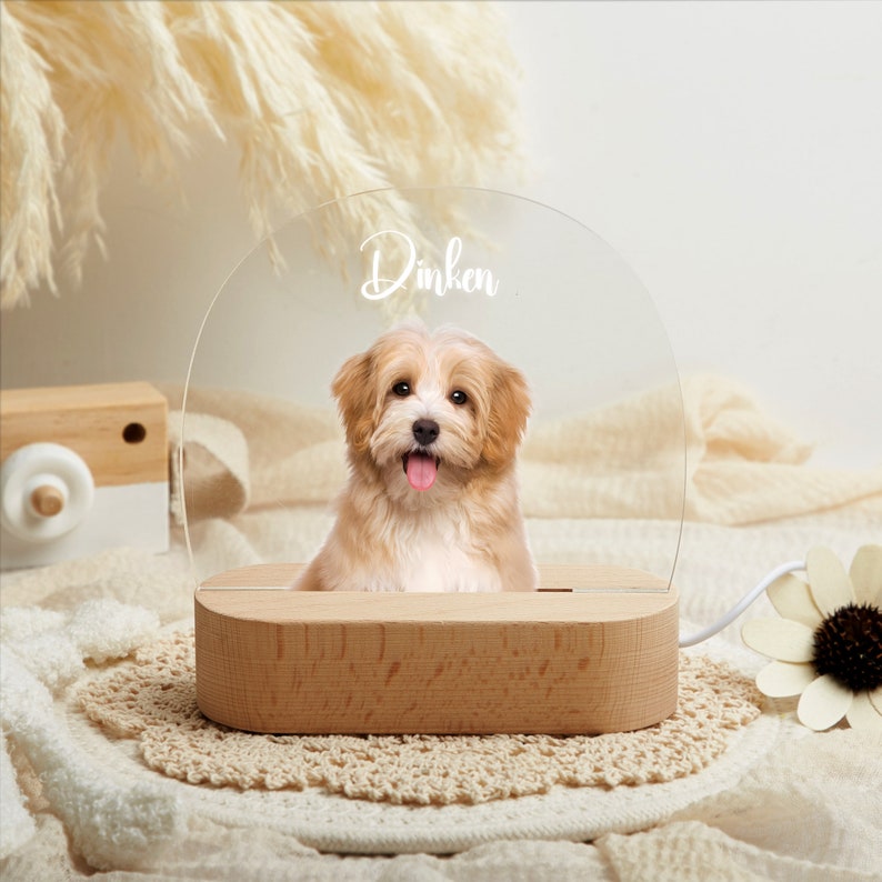 Custom Dog Photo Night Light,Pet Memorial Gift Plaque,Pet Loss Sympathy Gifts,Cat Picture Night Lamp,Pet Memorial Gifts,Gifts For Pet Lover