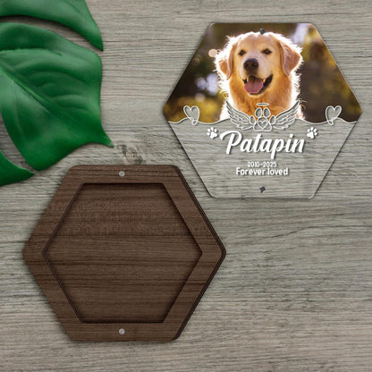 Custom Dog Hair Memorial Storage Box, Loss Of Dog Acrylic Box Pet Portrait Picture, Cat Fur Keepsake, Pet Tooth Memorial Gift, Pet Memorial