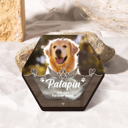 Custom Dog Hair Memorial Storage Box, Loss Of Dog Acrylic Box Pet Portrait Picture, Cat Fur Keepsake, Pet Tooth Memorial Gift, Pet Memorial