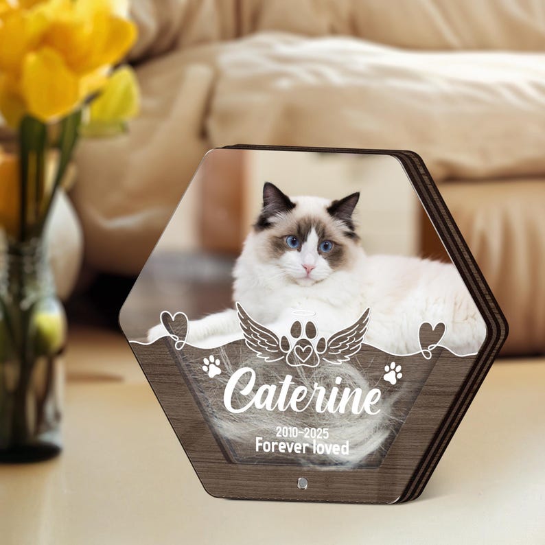 Custom Dog Hair Memorial Storage Box, Loss Of Dog Acrylic Box Pet Portrait Picture, Cat Fur Keepsake, Pet Tooth Memorial Gift, Pet Memorial