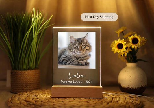 Pet Cat Dog Memorial loss Acrylic Night Light | Personalized Bedroom LED Decor Sign | Light up Sign | Gift for Pets