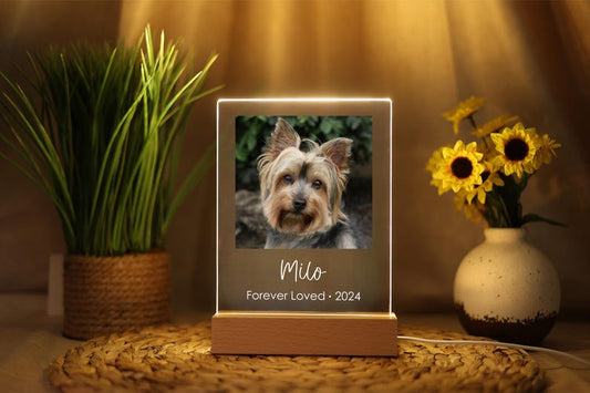 Pet Cat Dog Memorial loss Acrylic Night Light | Personalized Bedroom LED Decor Sign | Light up Sign | Gift for Pets