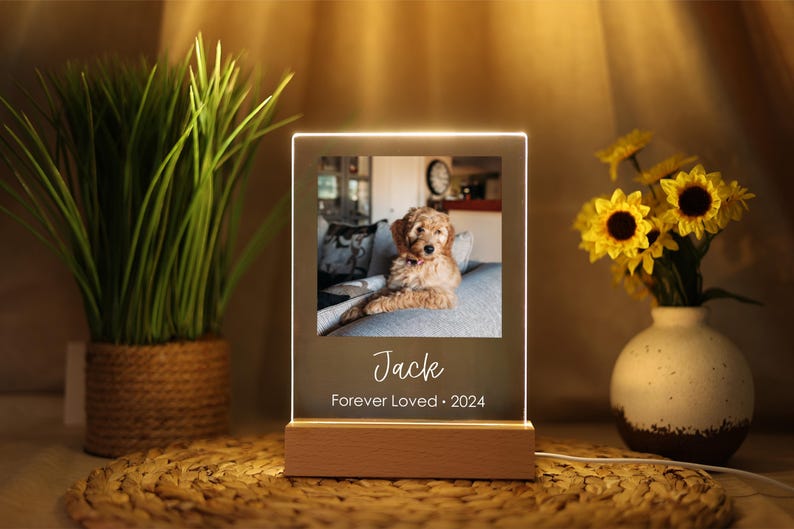 Pet Cat Dog Memorial loss Acrylic Night Light | Personalized Bedroom LED Decor Sign | Light up Sign | Gift for Pets