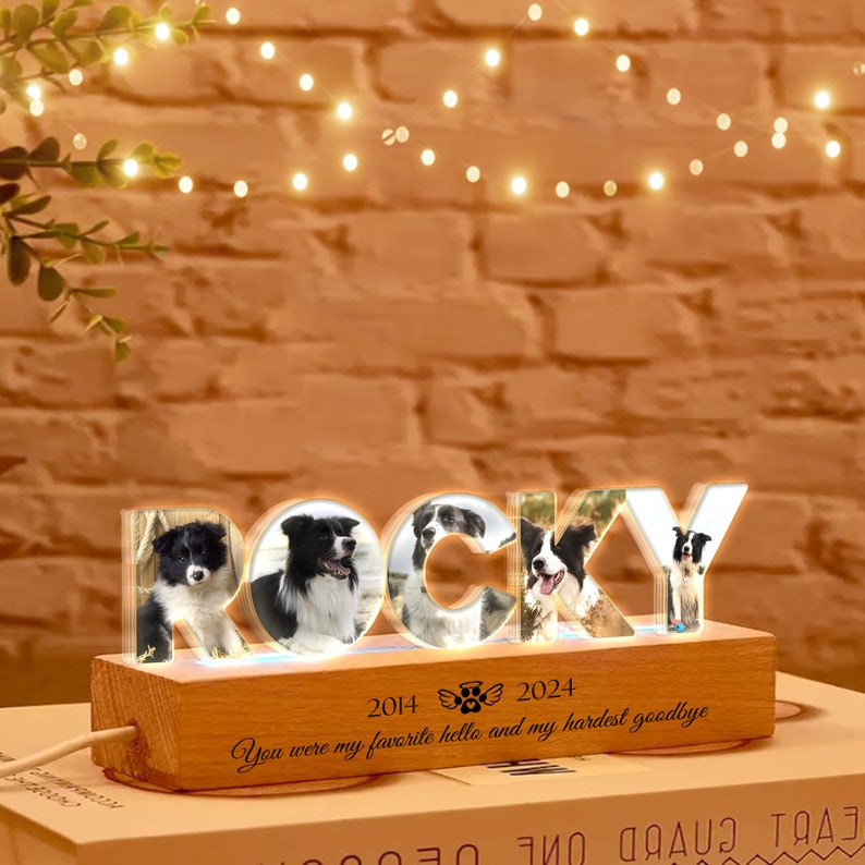 Personalized Pet Memorial Night Light, Custom Pet Photo Night Light, Custom Pet Memorial Gift, Loss Of Pet Sympathy Gift, Dog Loss Gift
