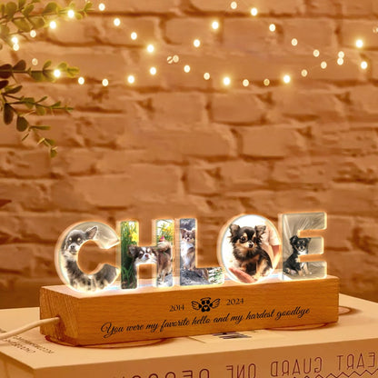Personalized Pet Memorial Night Light, Custom Pet Photo Night Light, Custom Pet Memorial Gift, Loss Of Pet Sympathy Gift, Dog Loss Gift