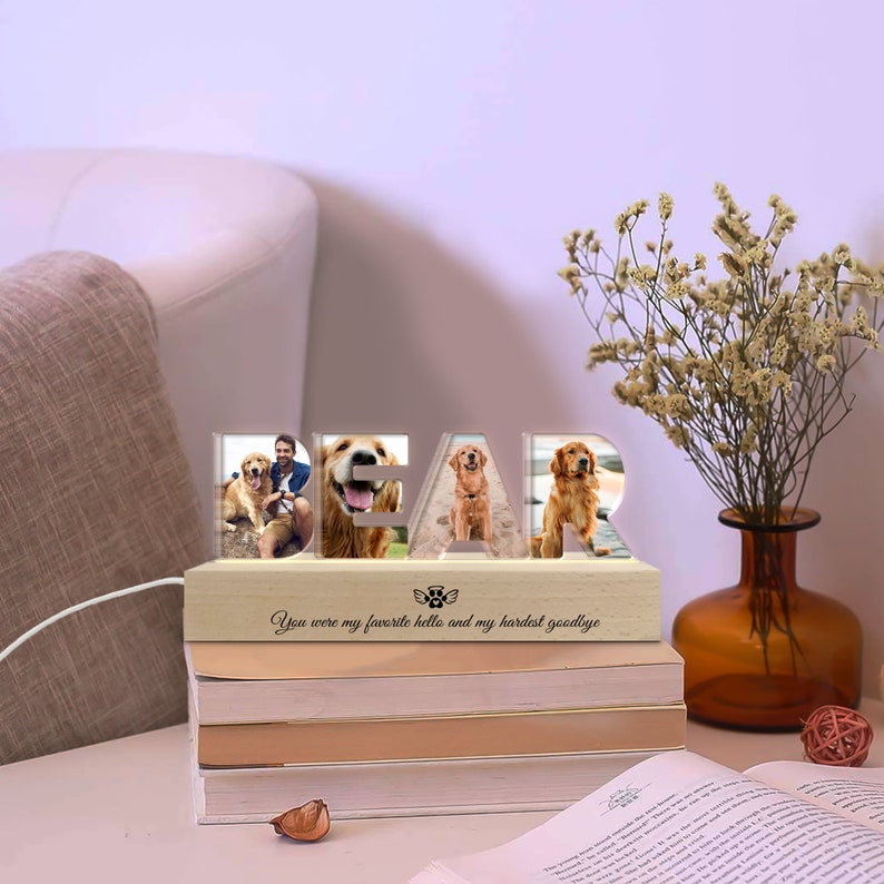 Personalized Pet Memorial Night Light, Custom Pet Photo Night Light, Custom Pet Memorial Gift, Loss Of Pet Sympathy Gift, Dog Loss Gift