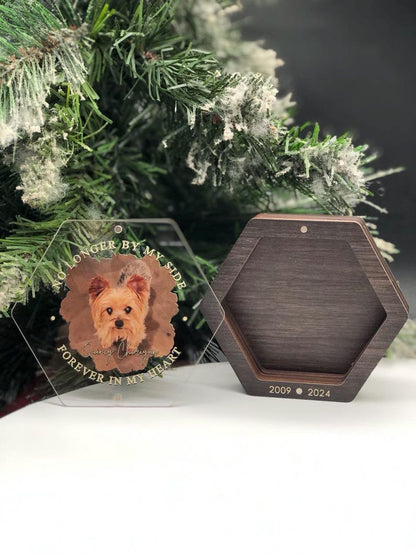 Custom Photo Wooden Hair Memorial Box Personalized Pet Fur Keepsake Dog Hair Memorial Cat Hair Keepsake Pet Hair Keepsake Box Loss Of Pet