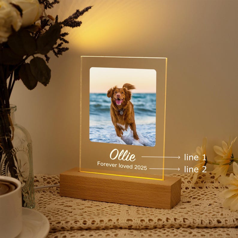 Personalized Pet Memorial LED Night Light,Light Up Pet Loss Frame,Pet Photo Light,Dog Loss Gift,Pet Memorial Gift, Dog Sympathy Gift