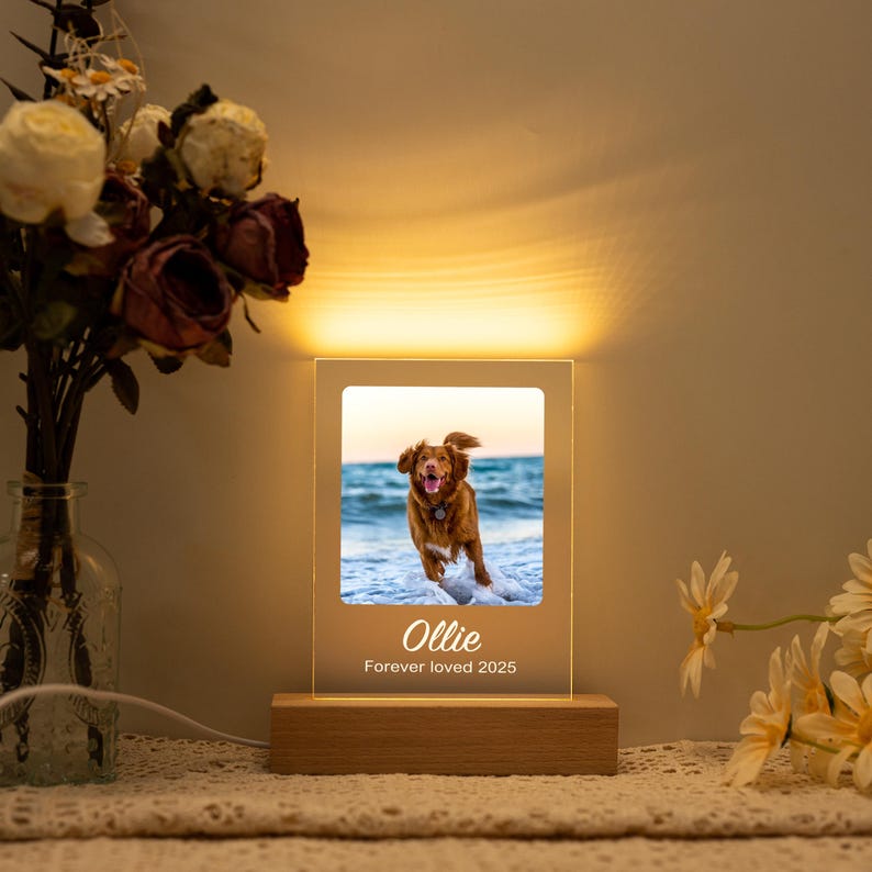 Personalized Pet Memorial LED Night Light,Light Up Pet Loss Frame,Pet Photo Light,Dog Loss Gift,Pet Memorial Gift, Dog Sympathy Gift