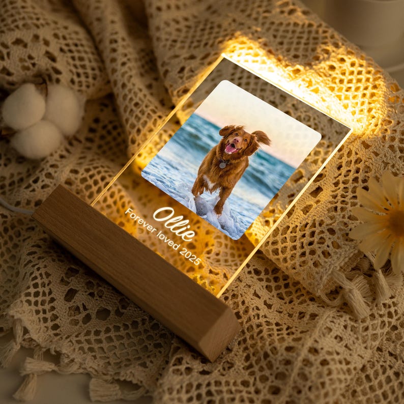 Personalized Pet Memorial LED Night Light,Light Up Pet Loss Frame,Pet Photo Light,Dog Loss Gift,Pet Memorial Gift, Dog Sympathy Gift