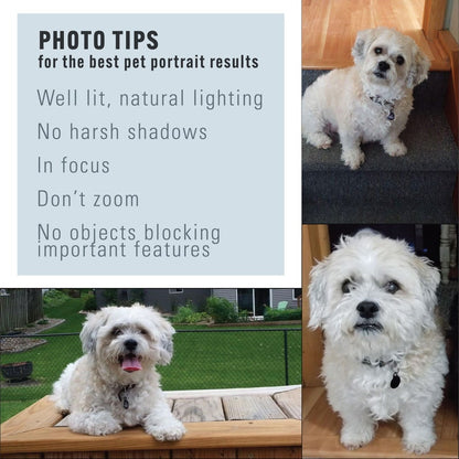 Custom Pet Photo Print Canvas — Oil Effect on Canvas, Custom Photo on Framed Canvas, Multiple Sizes & Stain Options