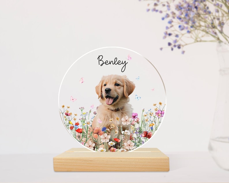 Custom Pet Portrait Night Light, Pet Memorial Gift, Dog Mom Gift, Pet Photo Lamp, Gift For Dog Lover, Dog Loss Gift, Sympathy Gift