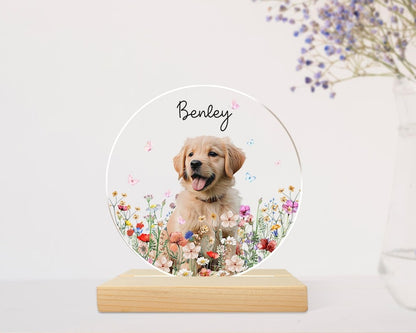 Custom Pet Portrait Night Light, Pet Memorial Gift, Dog Mom Gift, Pet Photo Lamp, Gift For Dog Lover, Dog Loss Gift, Sympathy Gift