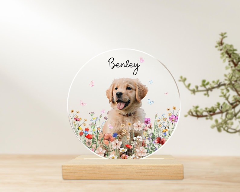 Custom Pet Portrait Night Light, Pet Memorial Gift, Dog Mom Gift, Pet Photo Lamp, Gift For Dog Lover, Dog Loss Gift, Sympathy Gift