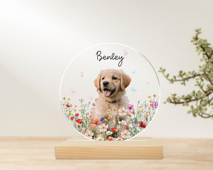 Custom Pet Portrait Night Light, Pet Memorial Gift, Dog Mom Gift, Pet Photo Lamp, Gift For Dog Lover, Dog Loss Gift, Sympathy Gift