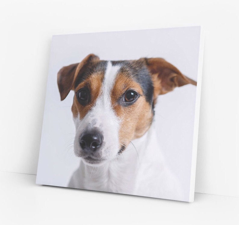 Custom Pet Canvas Print: Dog, Cat and other Pet Photo to Art, Christmas Gift