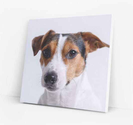 Custom Pet Canvas Print: Dog, Cat and other Pet Photo to Art, Christmas Gift