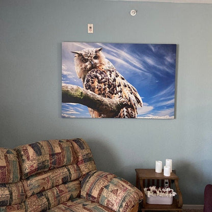 Custom Pet Canvas Print: Dog, Cat and other Pet Photo to Art, Christmas Gift