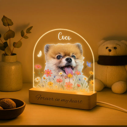 Personalized Pet Memorial Night Light: Custom Photo Lamp